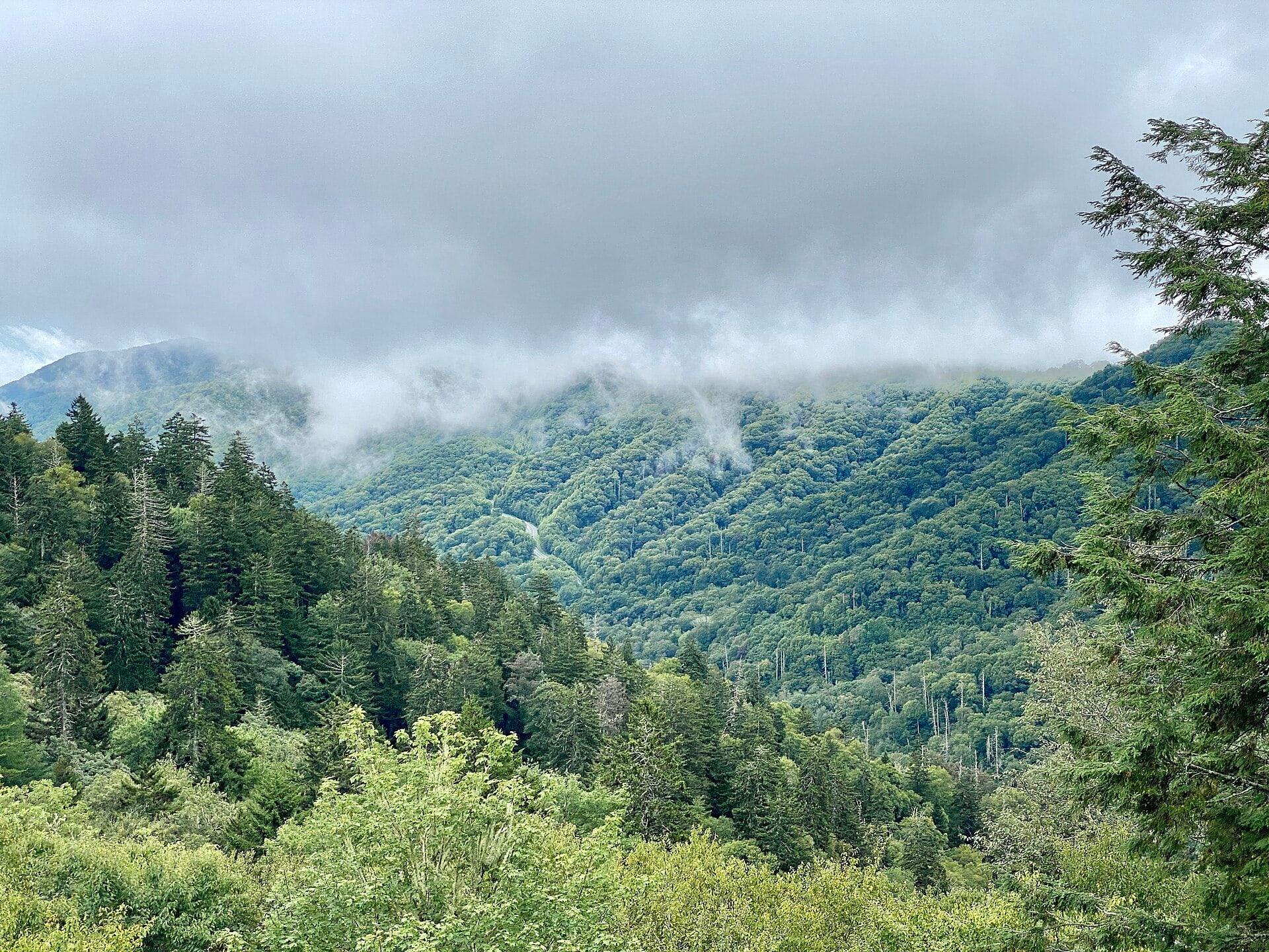 Clouds over forested ridges in Great Smoky Mountains National Park